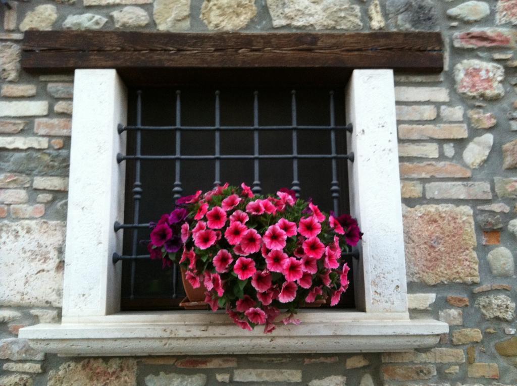 Agriturismo La Cantina Ascoli Piceno Exterior photo